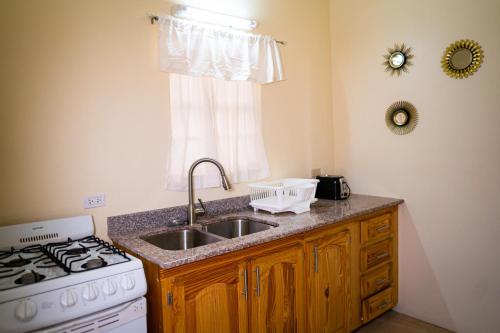 a kitchen with a sink and a stove and a window at Connie's Comfort Suites in Saint Johnʼs