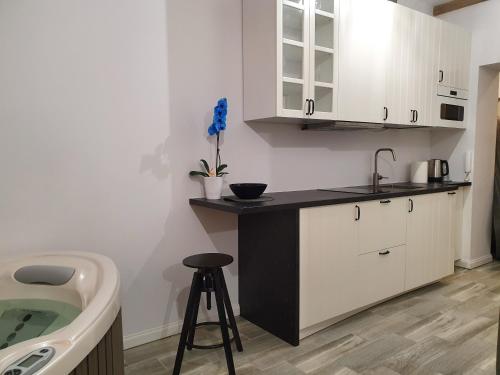 a kitchen with a counter and a sink and a bath tub at Apartamentai su Jacuzzi in Panevėžys