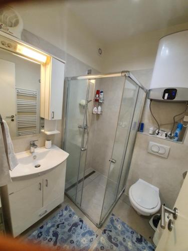 a bathroom with a shower and a toilet and a sink at Lido Dalma Apartman 2 in Fonyód