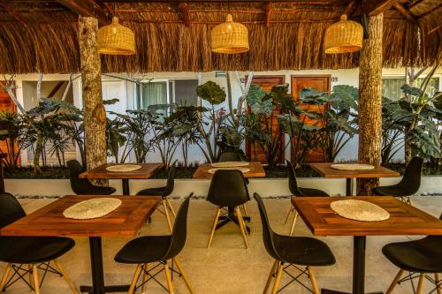 Gallery image of Agam Hotel in Bacalar