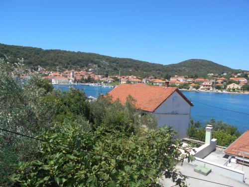 ein Haus mit Blick auf einen Wasserkörper in der Unterkunft Apartman-NENA- in Veli Iž