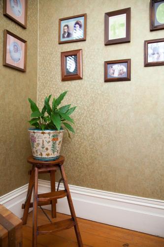 a plant on a stool in a room with pictures on the wall at Tairoa Lodge in Hawera
