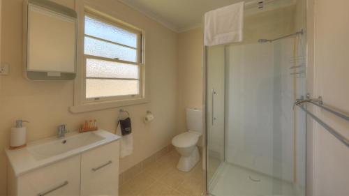 a bathroom with a shower and a sink and a toilet at Village Stays Coldstream Gallery Bungalow in Ulmarra