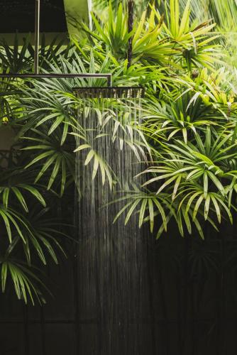 a bunch of green plants hanging from a fence at The Pavilions Phuket in Bang Tao Beach