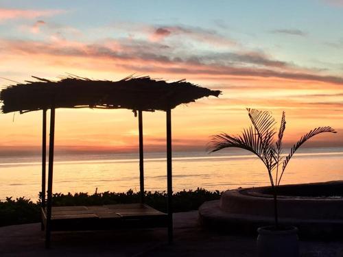a bench with an umbrella in front of a sunset at Driftwood Beach Lodge in Jambiani