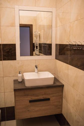 a bathroom with a sink and a mirror at Zajazd u Piasta Kołodzieja in Kruszwica