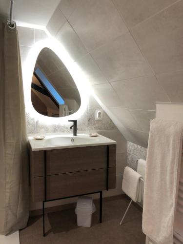 La salle de bains est pourvue d'un lavabo et d'un miroir. dans l'établissement Le Moulin de Lassalle, à Curemonte