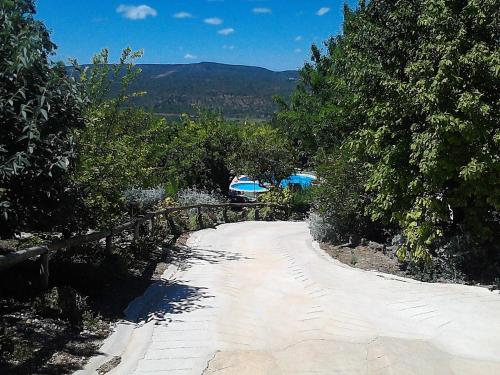 a dirt road with trees on either side at Casa Amoreira - Quinta Amoreira in Faro