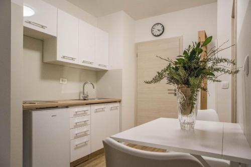 Kuchyň nebo kuchyňský kout v ubytování Jantar Apartmaji