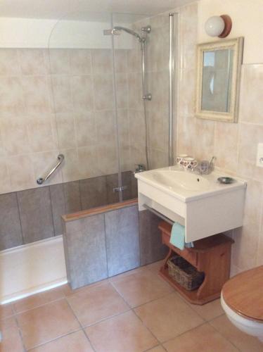 une salle de bain avec un lavabo et une douche dans l'établissement Chambre d'hotes grange de la bastide, à Laveissière