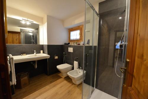 a bathroom with a toilet and a sink and a shower at Hotel Du Grand Paradis - 1899 Auberge Boutique in Cogne