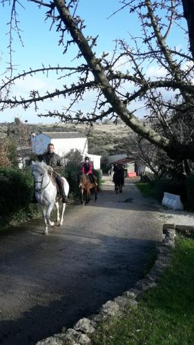 a group of people riding horses down a road at B&B Badde Cubas in Usini