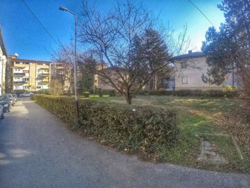a street with a building and a tree and a street light at Labroski Apartments in Ohrid