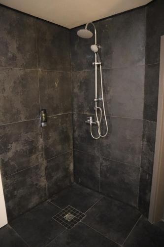 a shower with a shower head in a bathroom at Hotel Bispinger Hof in Bispingen