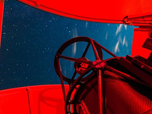 a close up of a red and blue background at Alpinhotel Pacheiner in Treffen