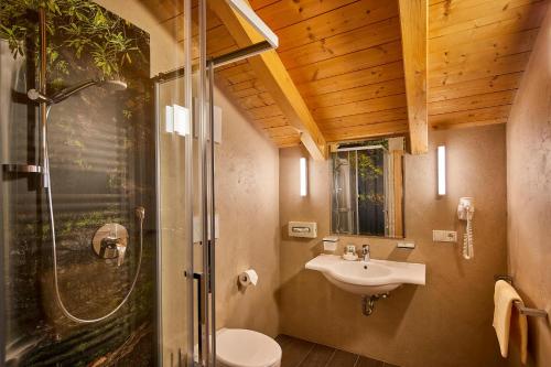 a bathroom with a toilet and a sink and a shower at Hotel Pensione Veneranda in Corvara in Badia