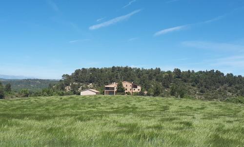 a house sitting on top of a green field at Cal Ros in Calonge de Segarra