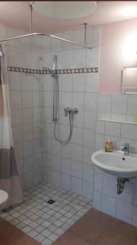 La salle de bains est pourvue d'une douche et d'un lavabo. dans l'établissement Grochlitzer Pension, à Naumbourg