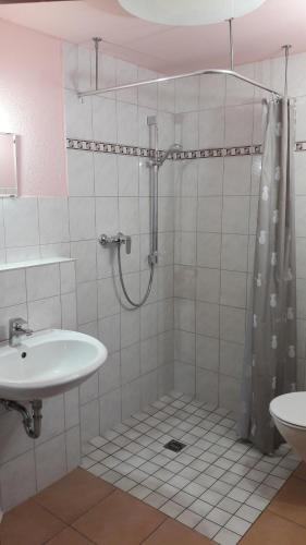 La salle de bains est pourvue d'une douche et d'un lavabo. dans l'établissement Grochlitzer Pension, à Naumbourg