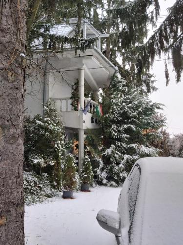 Fehér Hintó 3519 Miskolctapolca, Miskolctapolcai út 21.  kép - 3