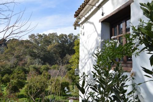 a white house with a window and trees in the background at Casa Rural Ahoraya in El Colmenar