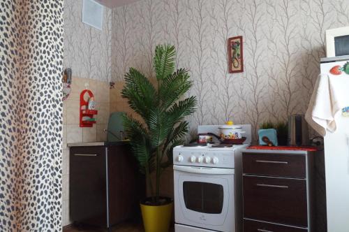 a kitchen with a white stove and a palm tree at Always at home - Apartments №2 at Klimasenko 11 block 7 in Novokuznetsk