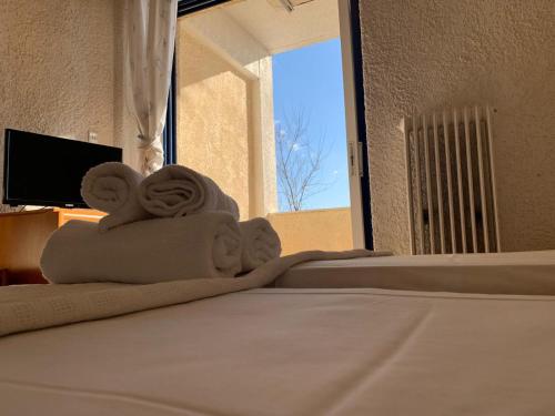 Gallery image of Sariza Spring Hotel in Andros