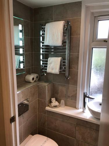 a bathroom with a toilet and a sink at South Park Guest House in Lincoln