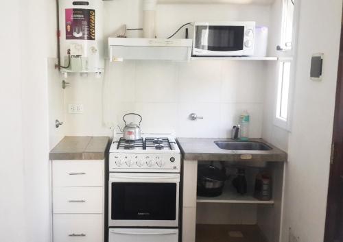 格塞尔镇Sol y Sombra的一个小厨房，配有炉灶和微波炉