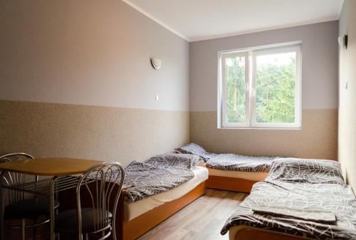 2 camas en una habitación con mesa y ventana en POKOJE HOTELOWE VIKTORIA, en Słupno