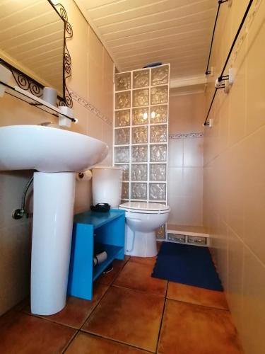 a bathroom with a sink and a toilet at Quinta Da vida Serena in Gaio