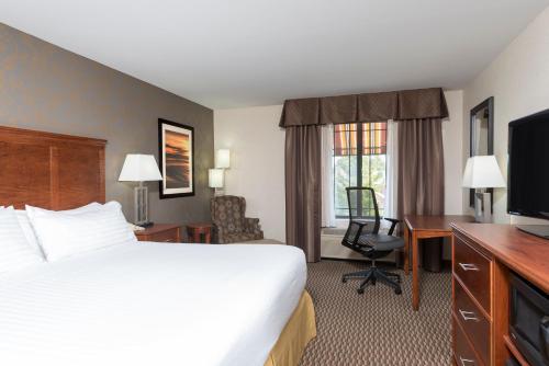 Televisyen dan/atau pusat hiburan di Holiday Inn Express Holland by IHG