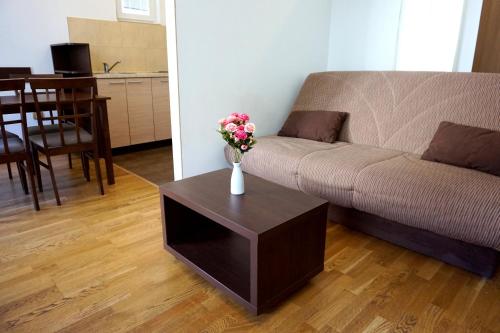 Studio apartman Zec Mirista