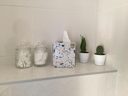 a shelf with plants and a box on it at Villa des Contamines in Crémieu