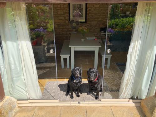 two black dogs sitting in front of a window at Upper Court Barn in Chipping Norton