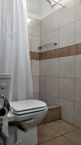 a bathroom with a toilet with a shower curtain at Monoambiente Centrico Pihue in Pigüé