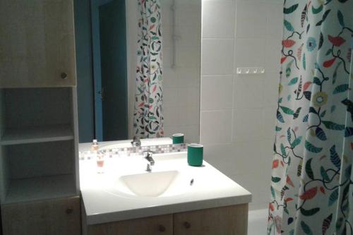 La salle de bains est pourvue d'un lavabo et d'un miroir. dans l'établissement T2 Mabouya Ondres plage avec piscine et tennis, à Ondres