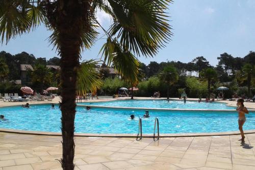 une grande piscine avec un palmier au premier plan dans l'établissement T2 Mabouya Ondres plage avec piscine et tennis, à Ondres