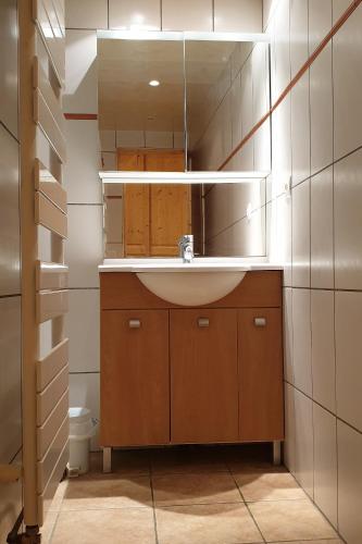 une salle de bain avec un lavabo et un miroir dans l'établissement Cellier 4, à Les Deux Alpes