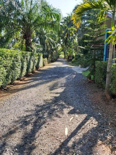 Κήπος έξω από το Amantra homestay & village