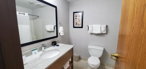a bathroom with a toilet and a sink and a mirror at Wingate by Wyndham Lethbridge in Lethbridge
