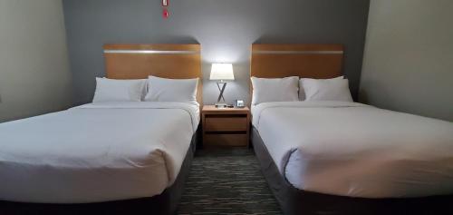 two beds sitting next to each other in a room at Wingate by Wyndham Lethbridge in Lethbridge