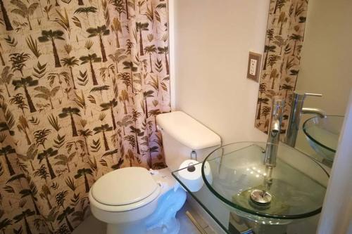 a bathroom with a toilet and a glass sink at Rainbow House and small garden in Princeton
