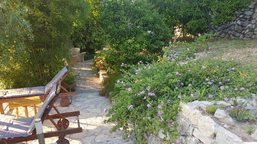 Gallery image of Apartment Barica in Trsteno