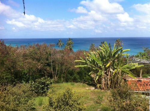 a view of the ocean from the top of a hill at Casa do Ney in Fernando de Noronha