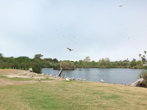 618 Airpark – Photos 3