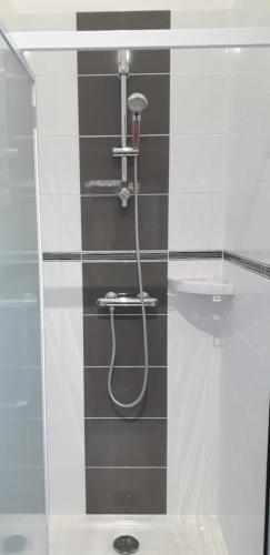 a glass shower with a hose in a bathroom at L'Escale au Coteau in Sucé