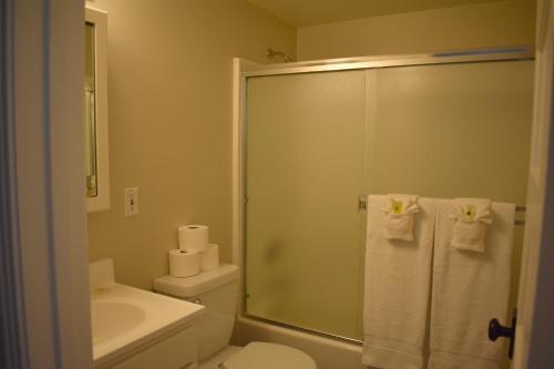 a bathroom with a toilet and a shower with towels at 75 San Antonia in Avila Beach