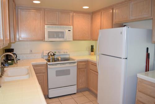 303 Casa Bella – Photos 5