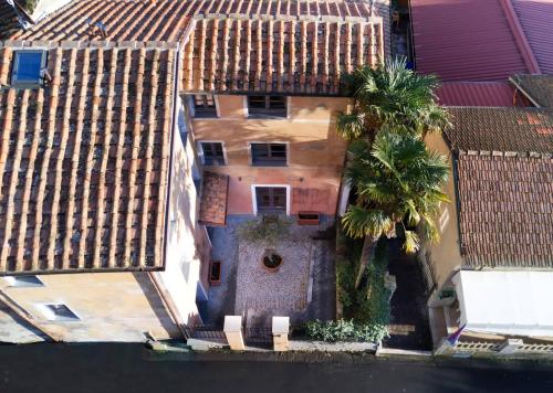 an aerial view of a building with a palm tree at Dimora Carducci in Pietrasanta